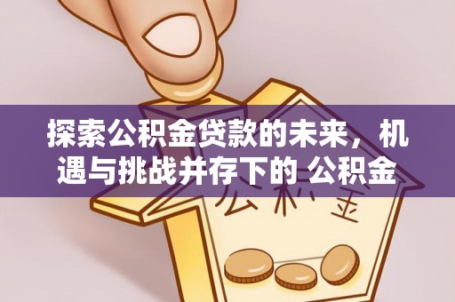 姚安探索公积金贷款的未来，机遇与挑战并存下的 公积金贷款风险防控