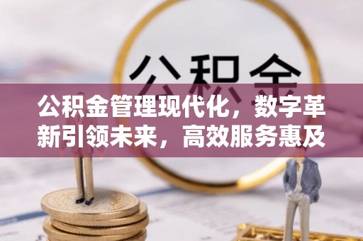姚安公积金管理现代化，数字革新引领未来，高效服务惠及民生