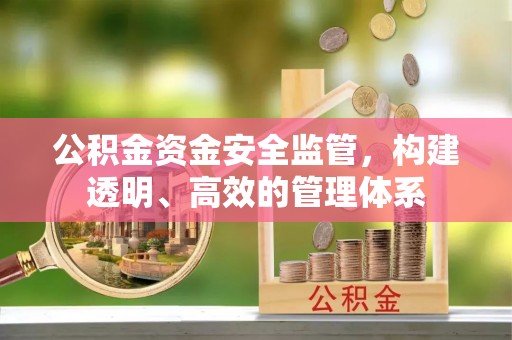 姚安公积金资金安全监管，构建透明、高效的管理体系