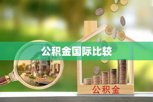 姚安公积金国际比较