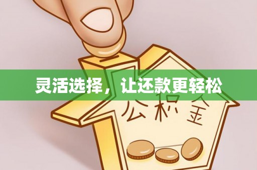 姚安灵活选择，让还款更轻松
