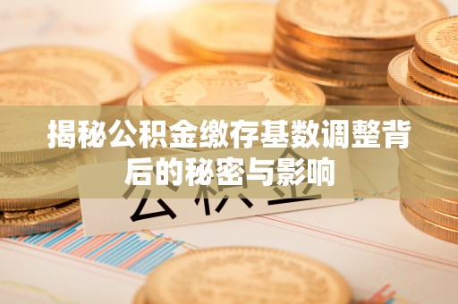 姚安揭秘公积金缴存基数调整背后的秘密与影响