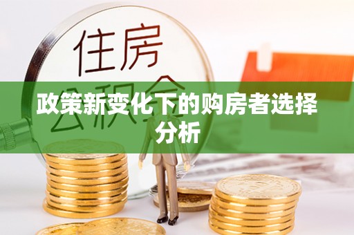 姚安政策新变化下的购房者选择分析