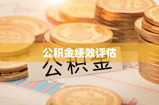 姚安公积金绩效评估
