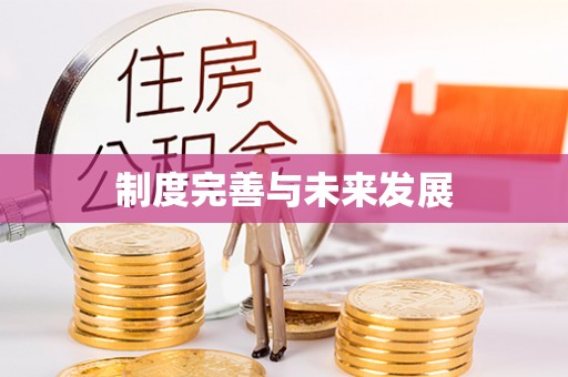 姚安制度完善与未来发展