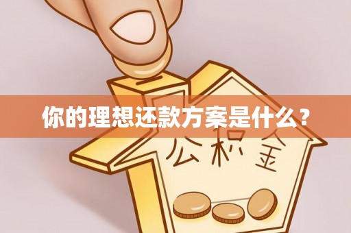 姚安你的理想还款方案是什么？