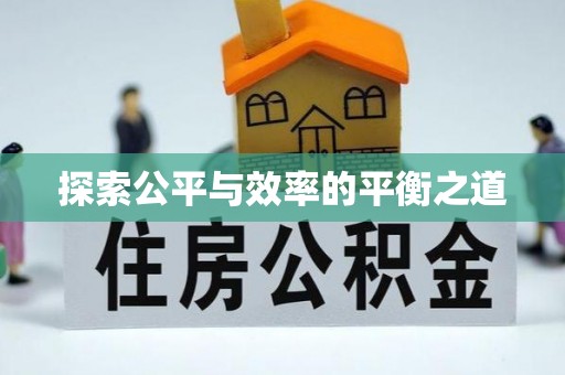 姚安探索公平与效率的平衡之道