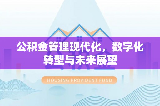 姚安公积金管理现代化，数字化转型与未来展望