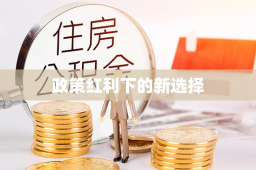 姚安政策红利下的新选择