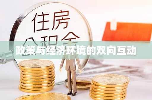 姚安政策与经济环境的双向互动