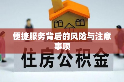 姚安便捷服务背后的风险与注意事项