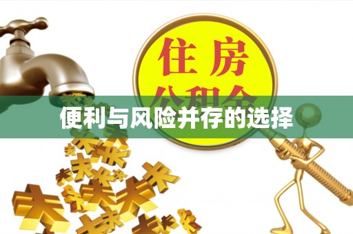 姚安便利与风险并存的选择