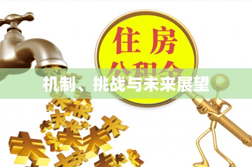 姚安机制、挑战与未来展望